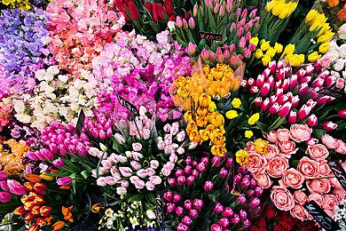 《最终幻想：起源》剧情具有影响力 会打动玩家