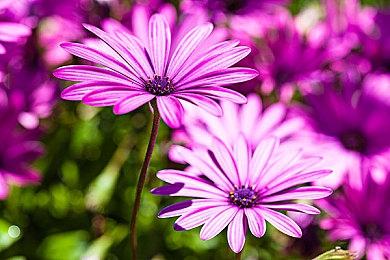 《战锤40K：Shootas Blood&Teef》试玩Demo上线 支持简体中文